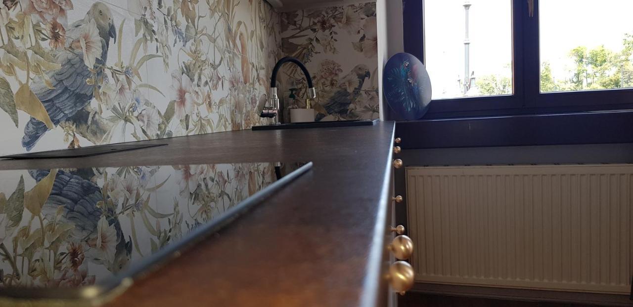 Astronomiczny Apartament , Mieszkanie 2 Pokojowe. Parking. Stary Toruń Екстериор снимка